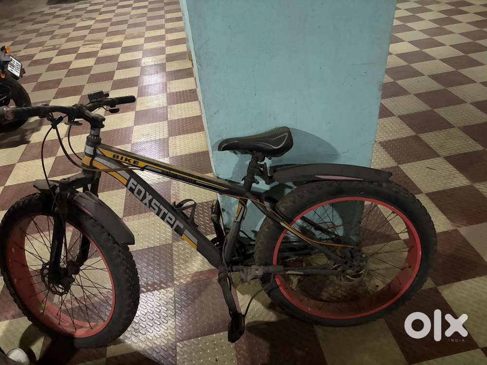 Bicycle with big tyres