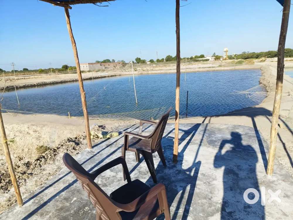 Boy required for Fish farming 24 hrs