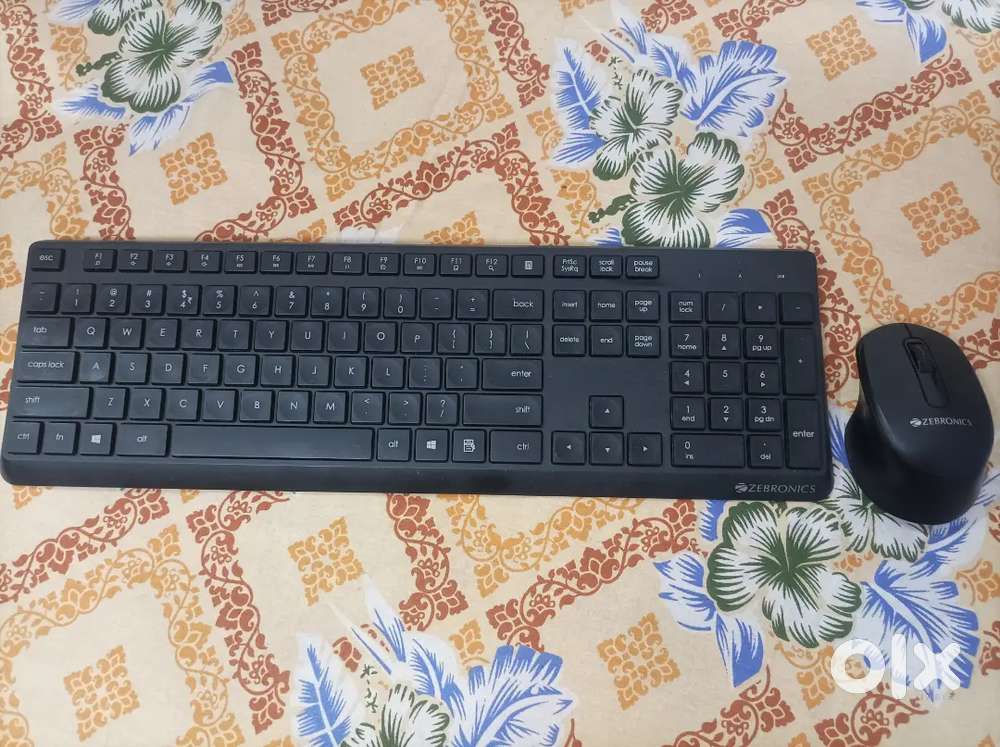 Zebronics Keyboard and Mouse Combo