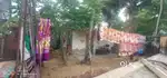 Land and house both of selling 1500sq