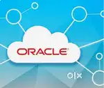 Fresh or Experienced Graduates required to work in IT software remote