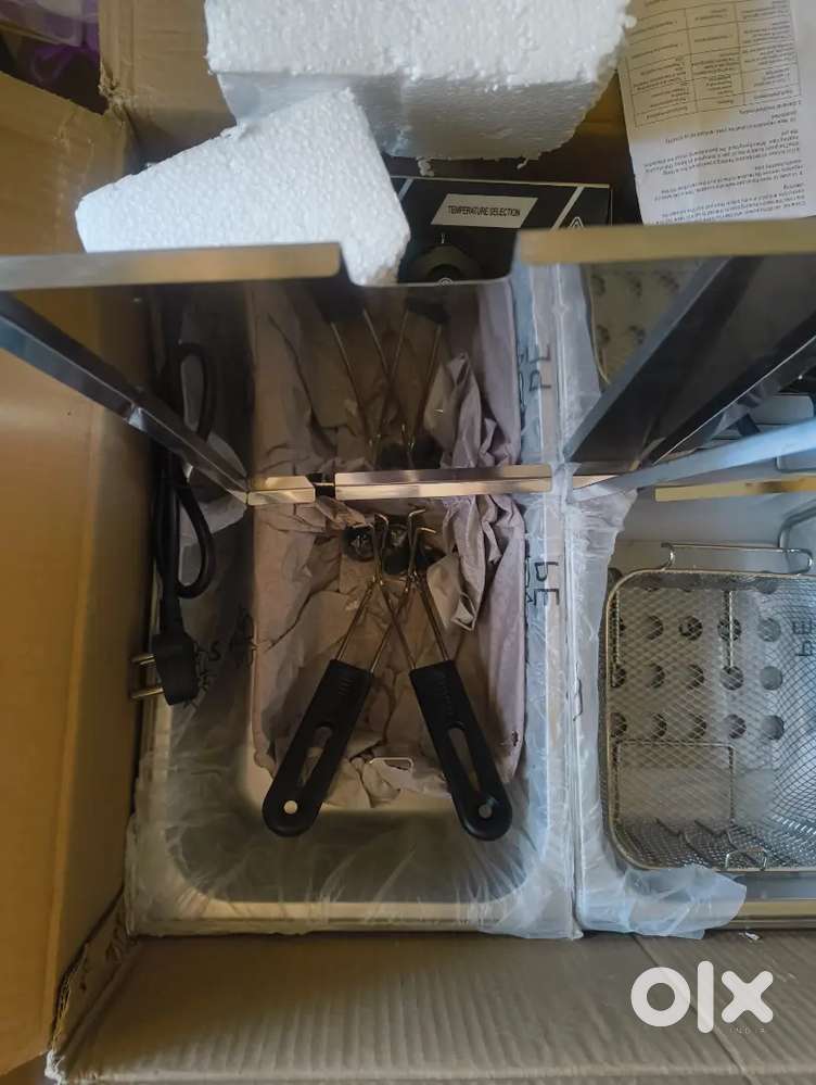 Electric double fryer