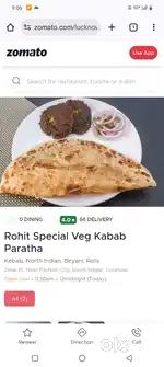Veg kabab Paratha and biryani koi karigar ho to sampark Karen