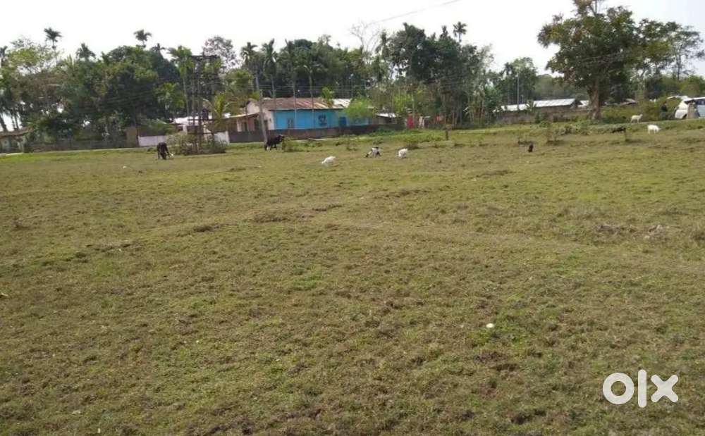 Myadi land for Sale at Chirotia Gaon