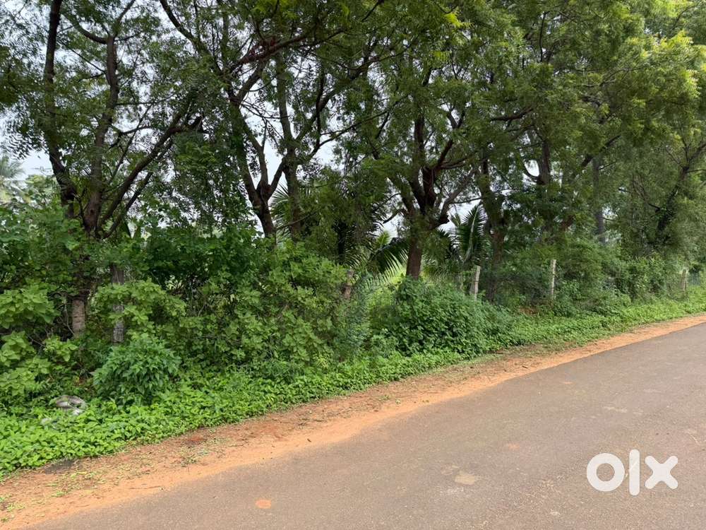 Rosmiyapuram 4 Accre Toppu for sale