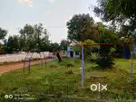 Royal Nagar