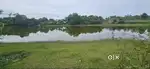 Hassan, 25 km from Hassan city - 12 acre agricultural land