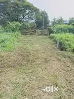 5 CENT HOUSE PLOT 3.5 LAKHS ONLY