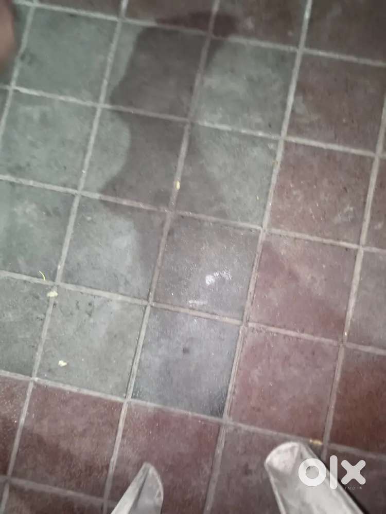 3BHK running condition flat available 3 years old