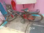 Avon cycle