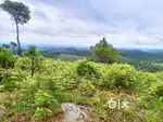 9acre Relaxingview good for resort mainroad sohryngkham land wit water