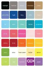 All type of paint service in low budget