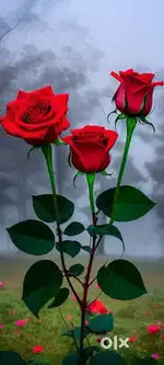Loan hi loan  Bina byaaj ka loan available here