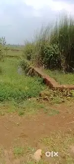 Plots sell