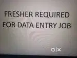 Fresher Required