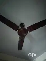 Fan for sell