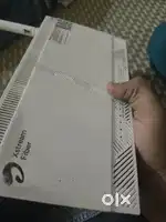 X stream fiber