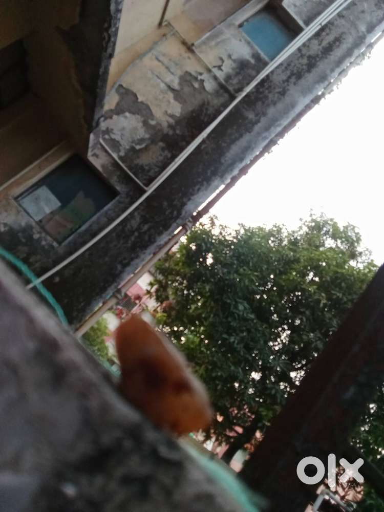 A old stone and experience