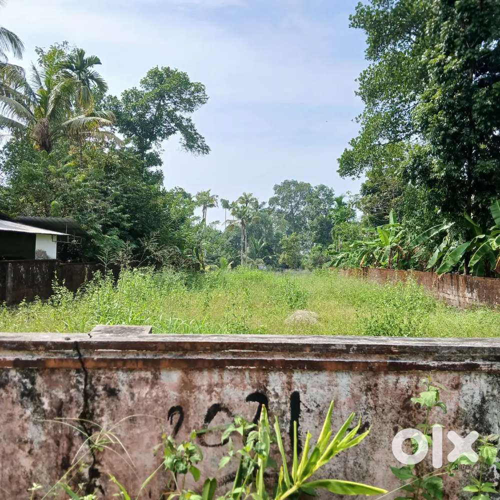 Aluva Tattampadi,27cent land, not flood