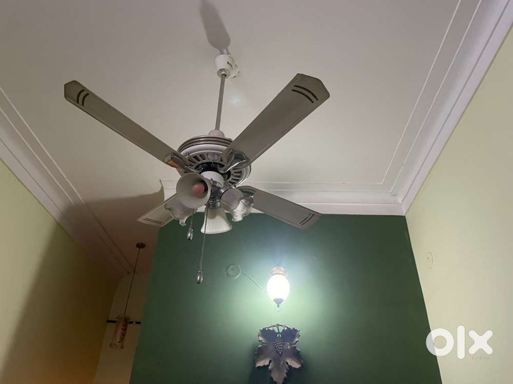 BREEZALIT decor Fan