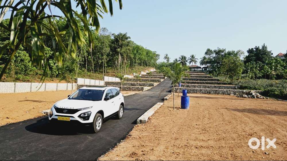 Palm Meadows – Legally Approved Residential Plots in Kochi  4–14 Cent