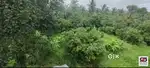 Farmland with house for sale in Vandithavalam, Palakkad