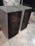 Two sony speaker only