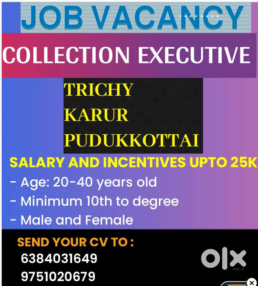 COLLECTION EXECUTIVE