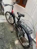 Cycle with carrier