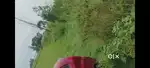 Bahut achi h, road per , 8 bigha hai