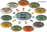 accountant with bank audit experience