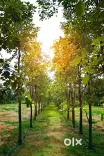 IINVESTMANT PLOTS IN YADAGIRI GUTTA BESIDE HOGHWAY