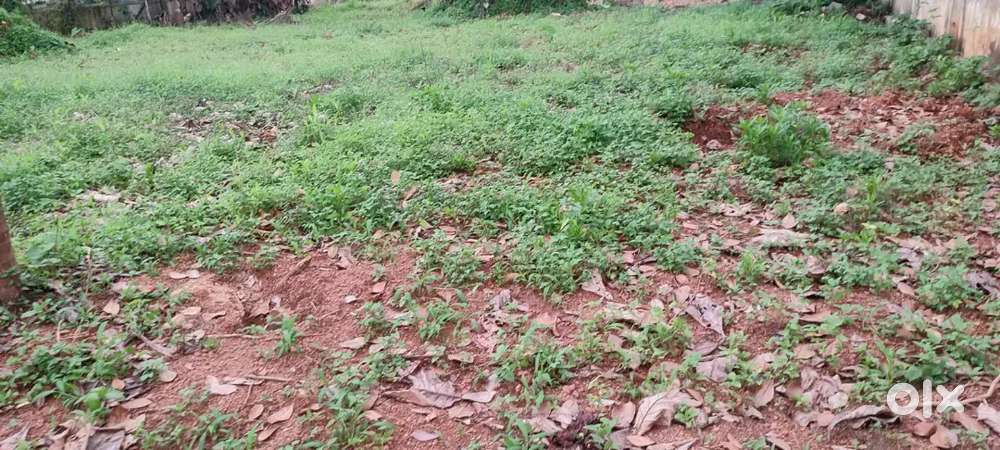 15 cent plot for sale ithithanam changanchery