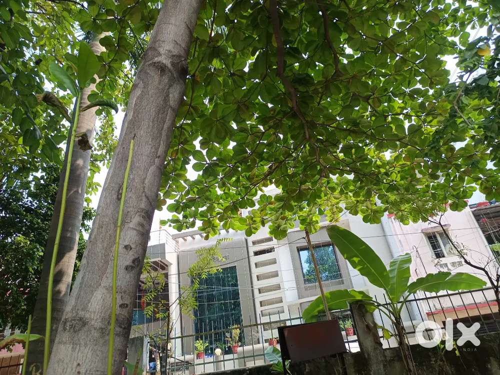 केयर टेकर जॉब घर में रहकर काम करना है रहना खाना फ्री