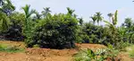 2 ACRE LAND FOR SALE CHALAKUDY KONNAKUZHI
