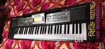 Roland E09IN