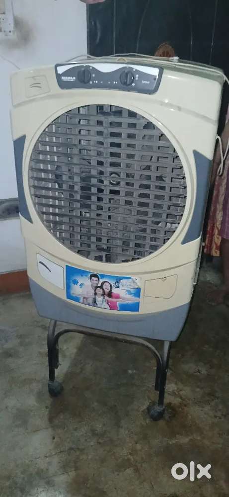 Maharaja Jumbo Cooler