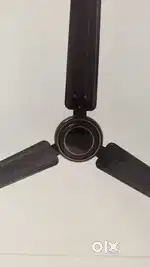 Orient 2 new fan for sale
