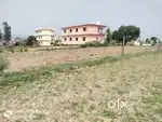 Joshi Ereal Stae