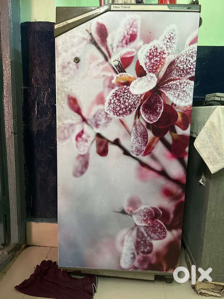 Single door refrigerator