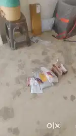 Delivery boy job