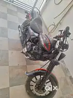 Bajaj avenger 220