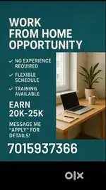 Online Work