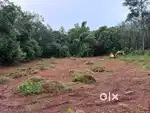 50 cent 3.5 meter