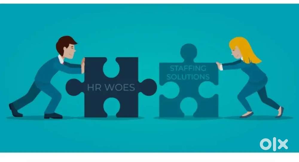 Back office executive