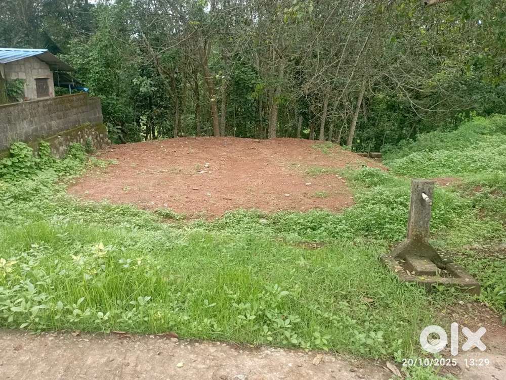 വിൽപ്പനയ്ക്കു