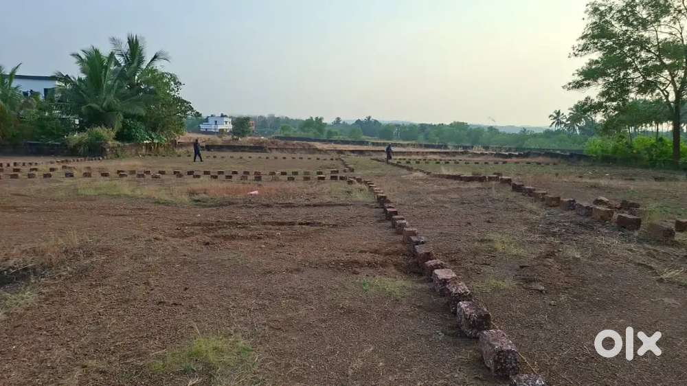 8,10,12,14 സെൻ്റ് വീതമുള്ള പ്ലോട്ടുകൾ വില്പനയ്ക്ക്