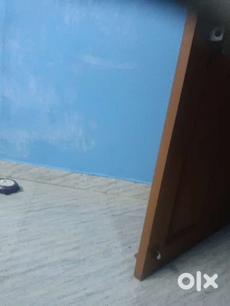 Need Female Roommate