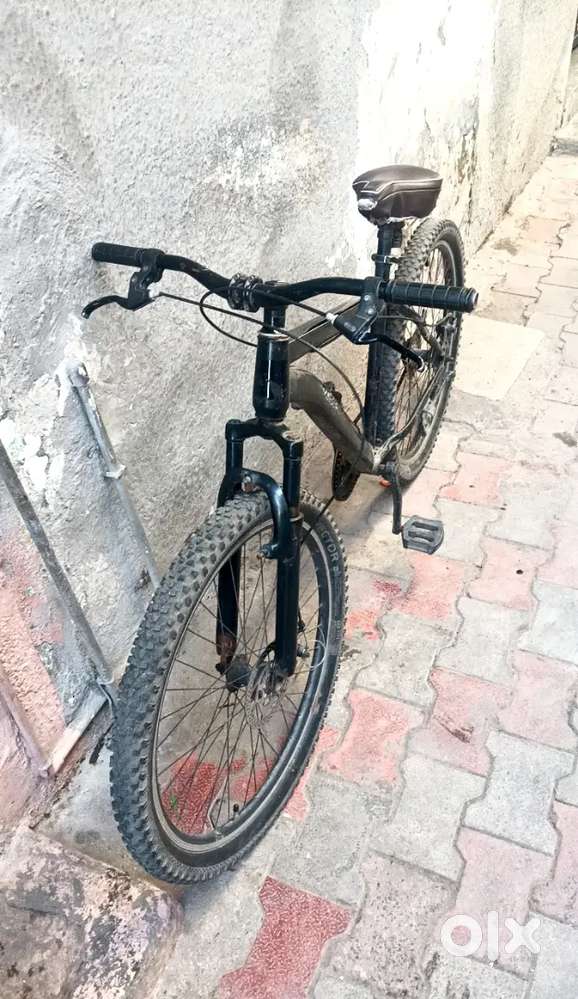 Renger cycle