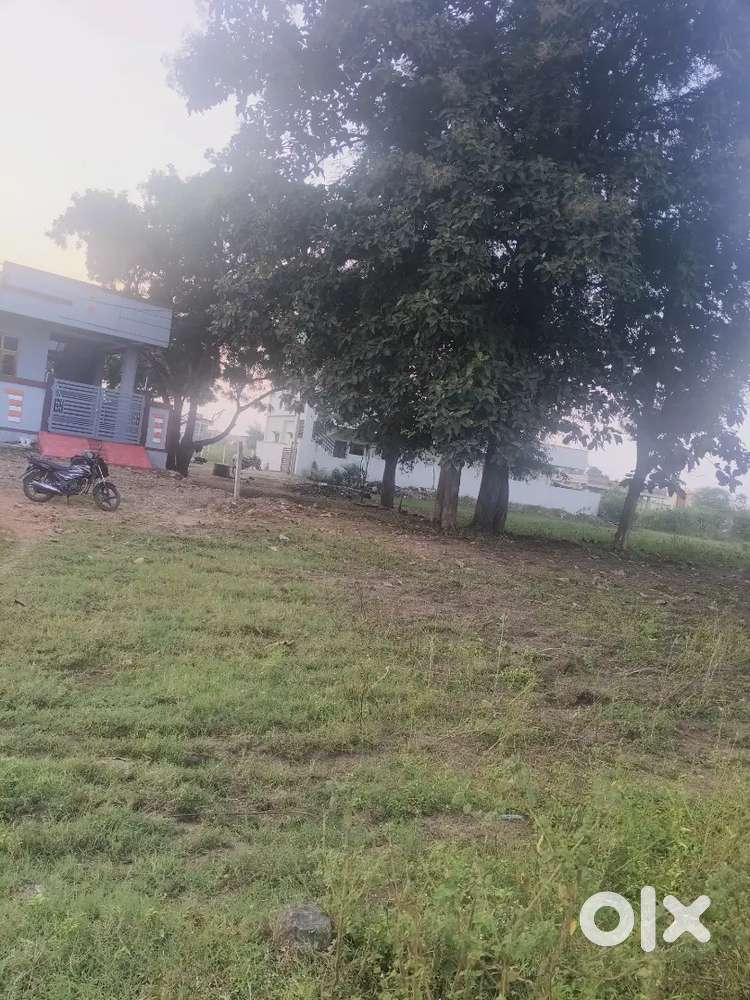 Near chikuray road and 50m from state highway road , hanuman nagar